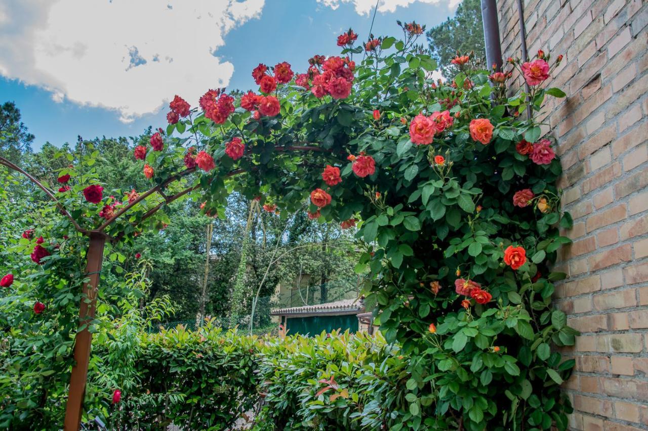 Gasthaus I Due Cipressi Torrenieri Exterior foto